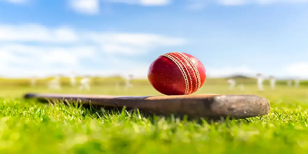 Cricket